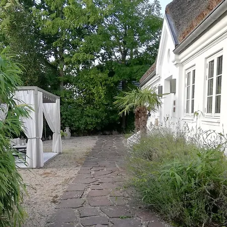 Affittacamere Ferie Og